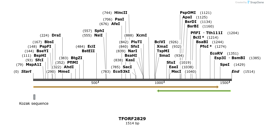 281144_map
