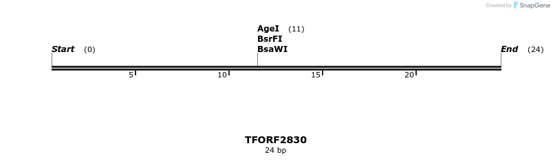 281148_map
