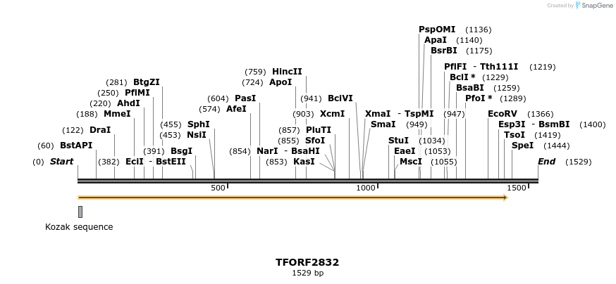 281150_map