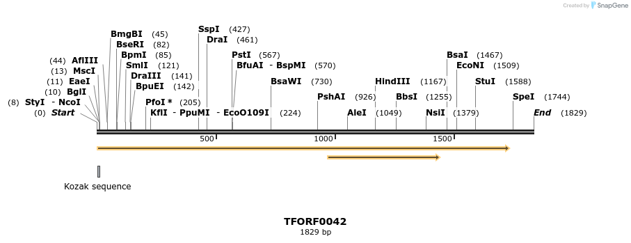 281153_map