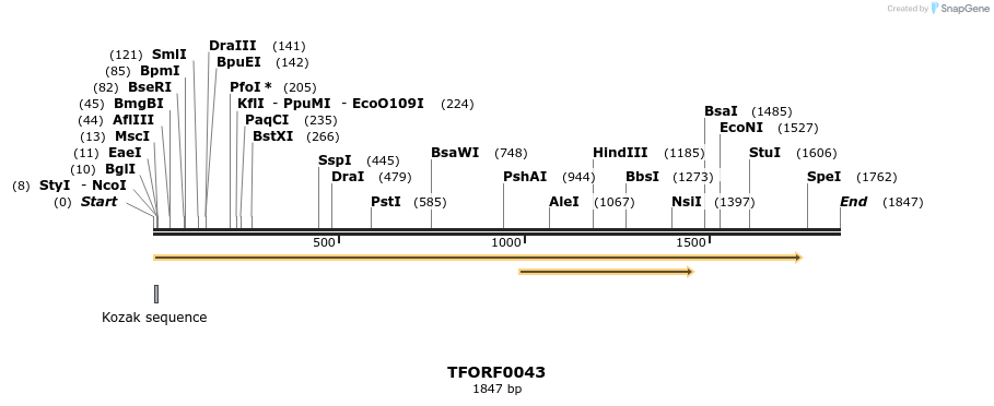 281156_map