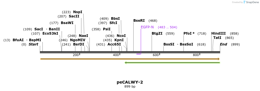 28116_map