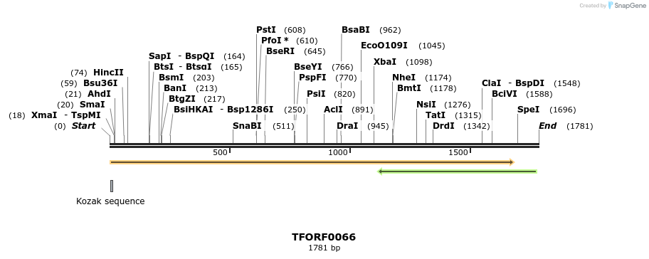 281162_map