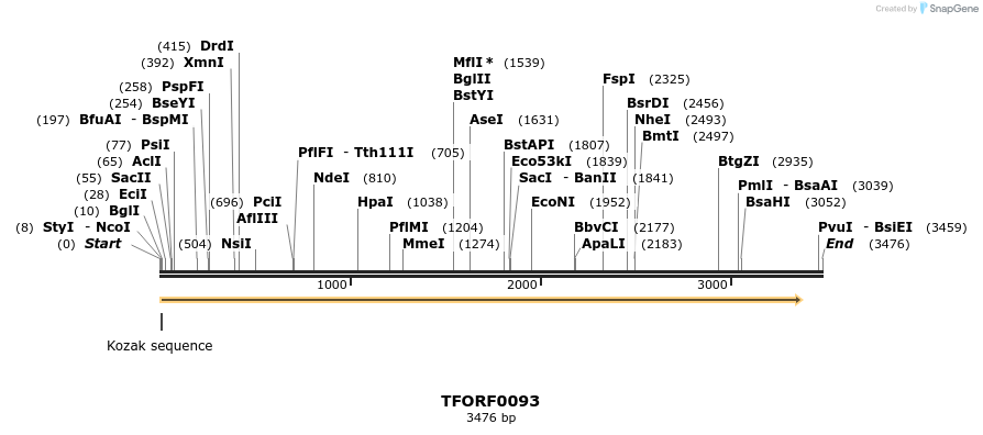 281165_map