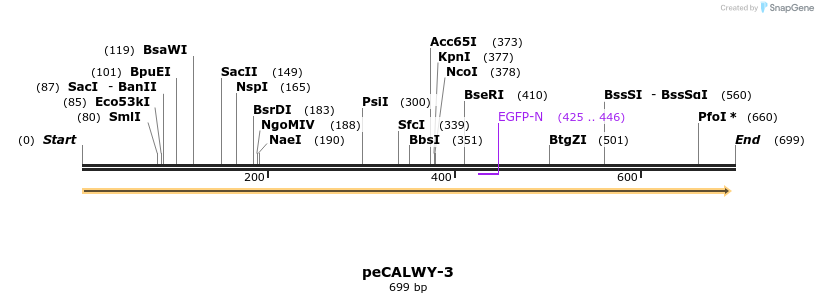 28117_map