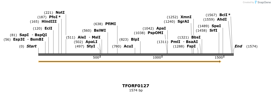 281174_map