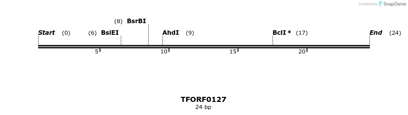281175_map