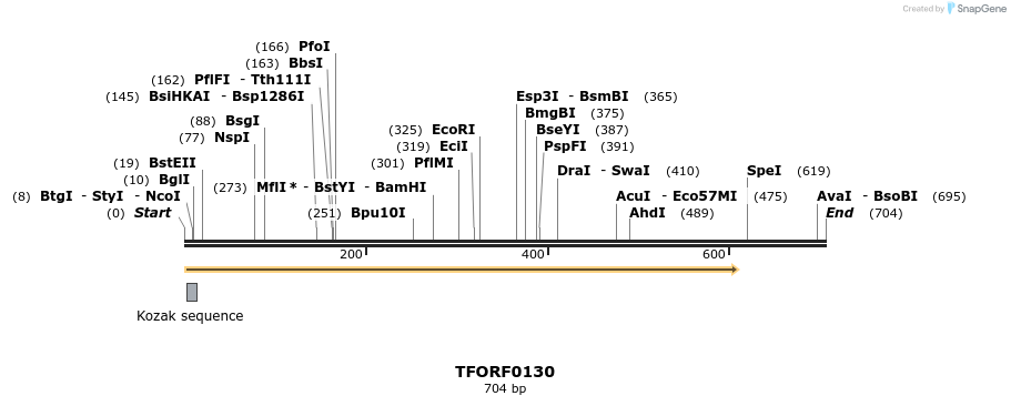 281177_map