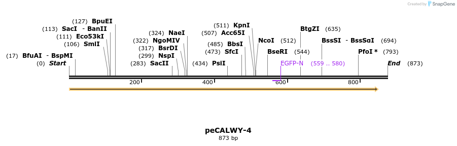 28118_map