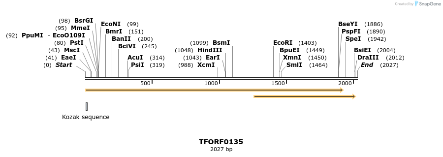 281180_map