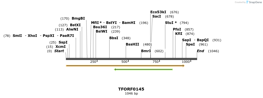 281183_map
