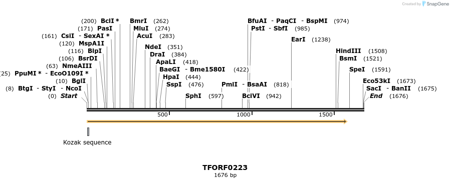 281186_map