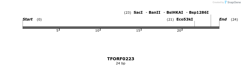 281187_map