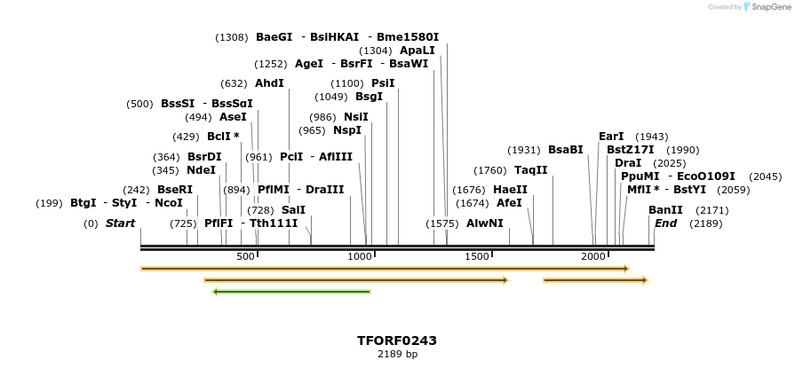 281189_map