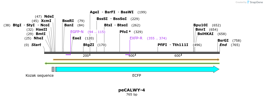 28119_map