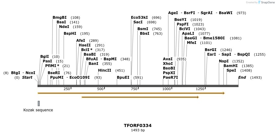 281192_map