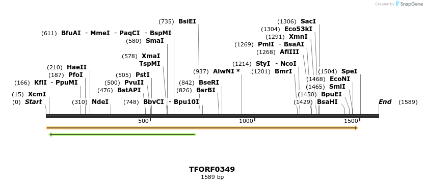 281198_map