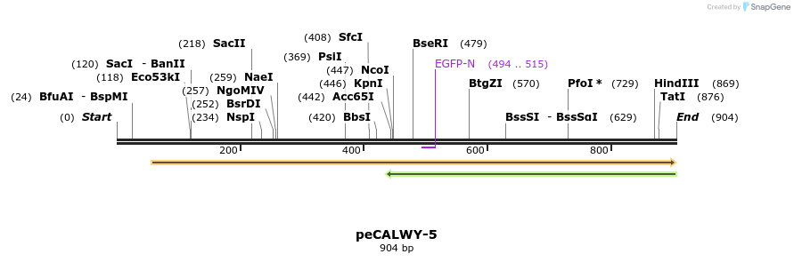 28120_map