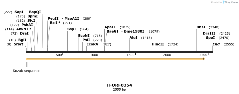 281201_map