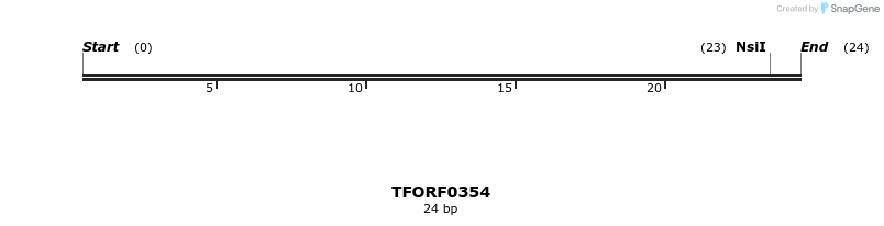 281202_map