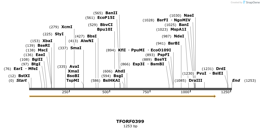 281204_map