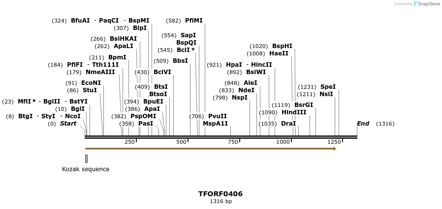281207_map