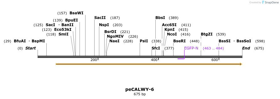 28121_map