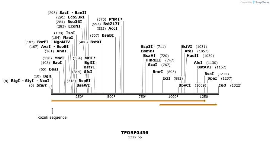 281210_map