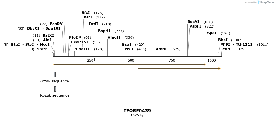 281213_map