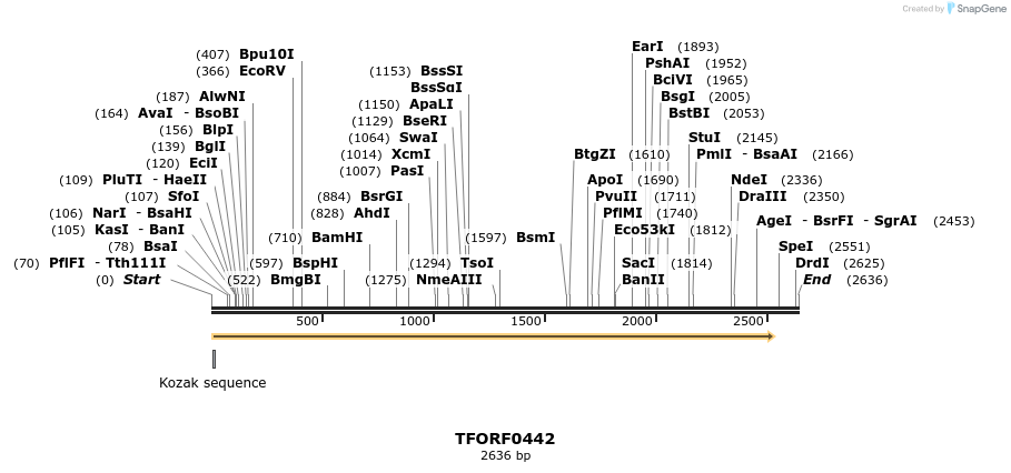 281216_map