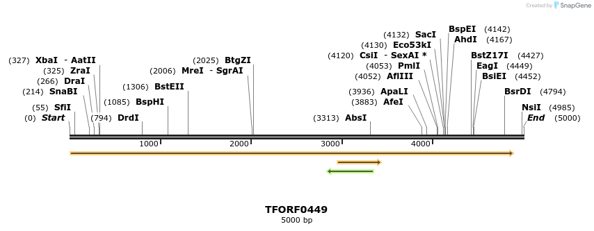 281219_map