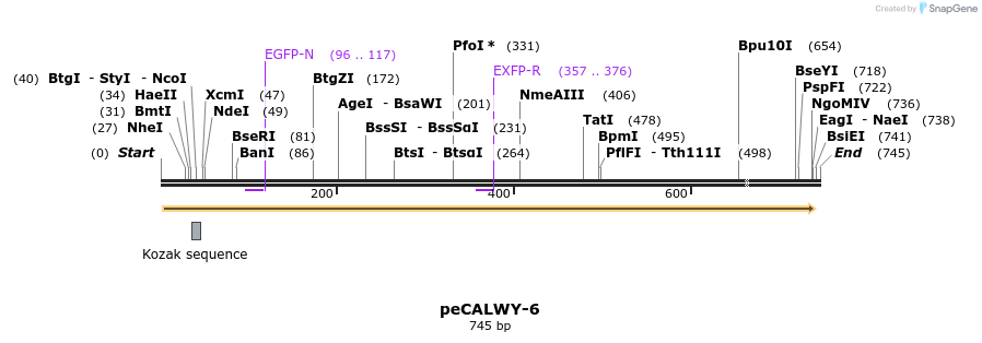 28122_map