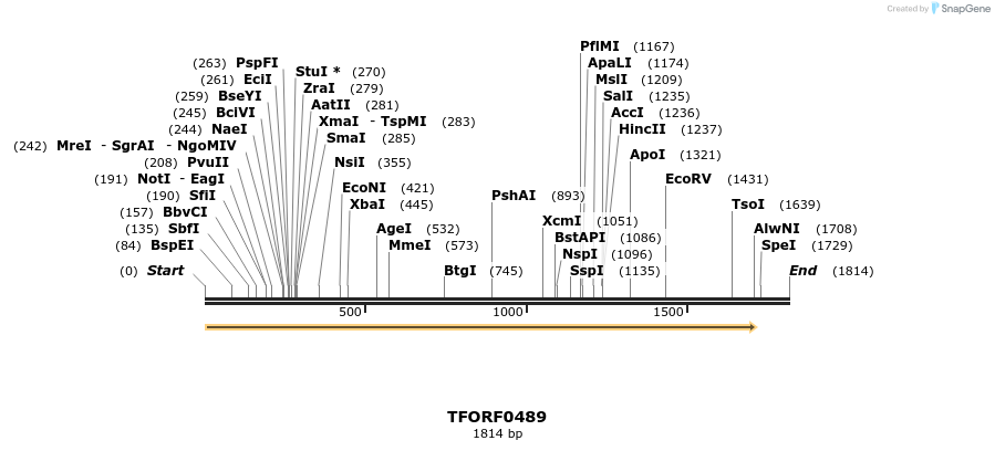 281225_map