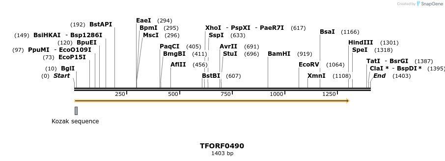 281228_map