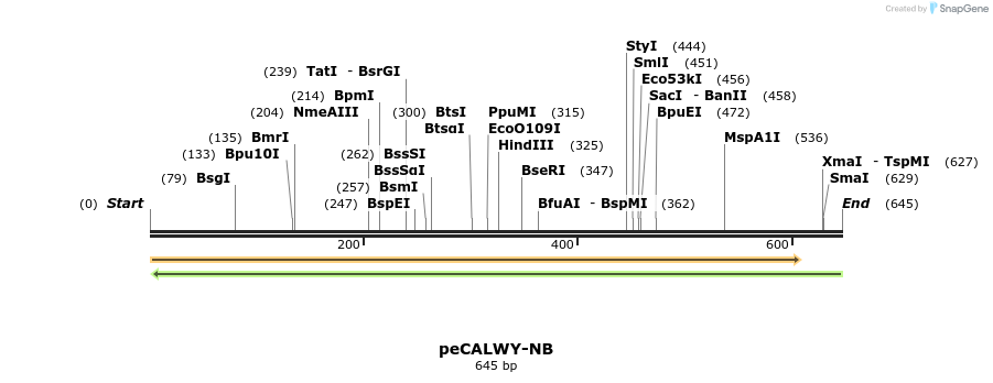 28123_map