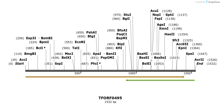 281231_map
