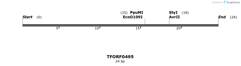281232_map