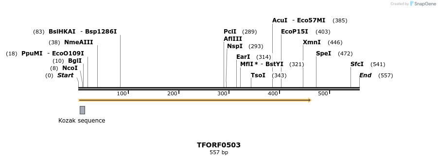 281234_map