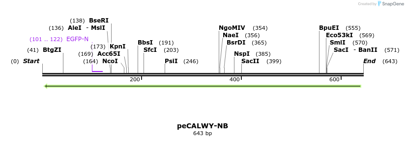 28124_map