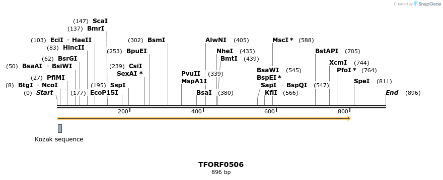 281240_map