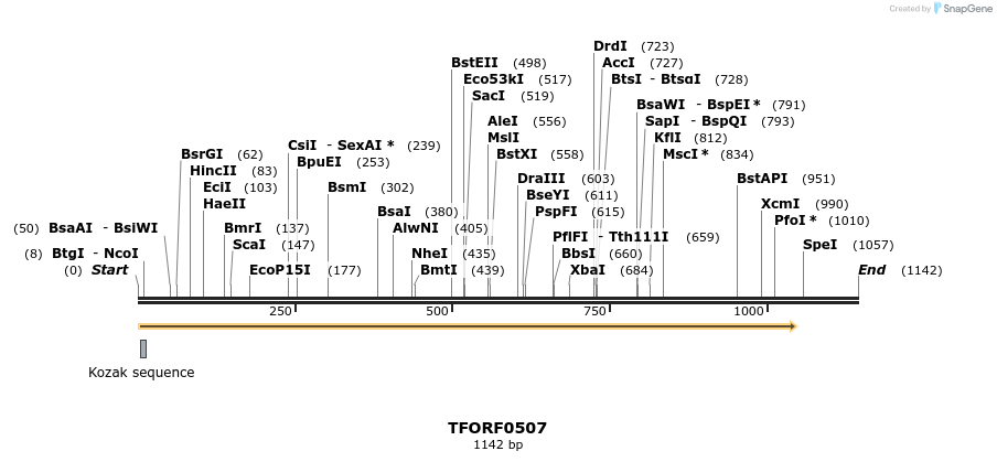 281243_map