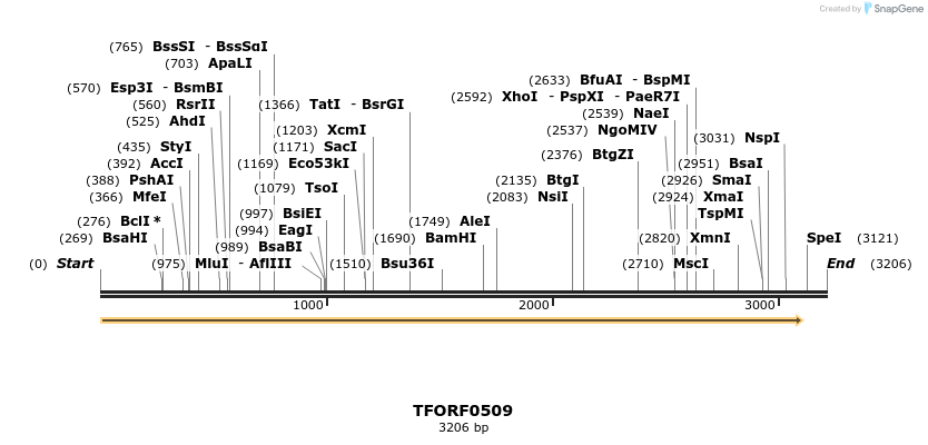 281246_map