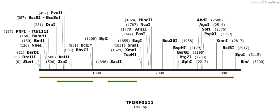 281249_map