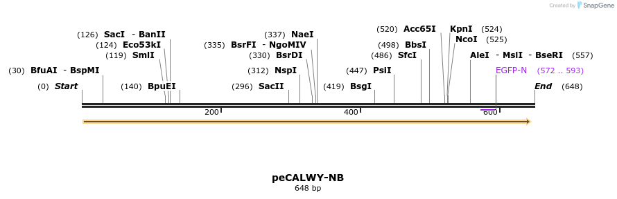 28125_map