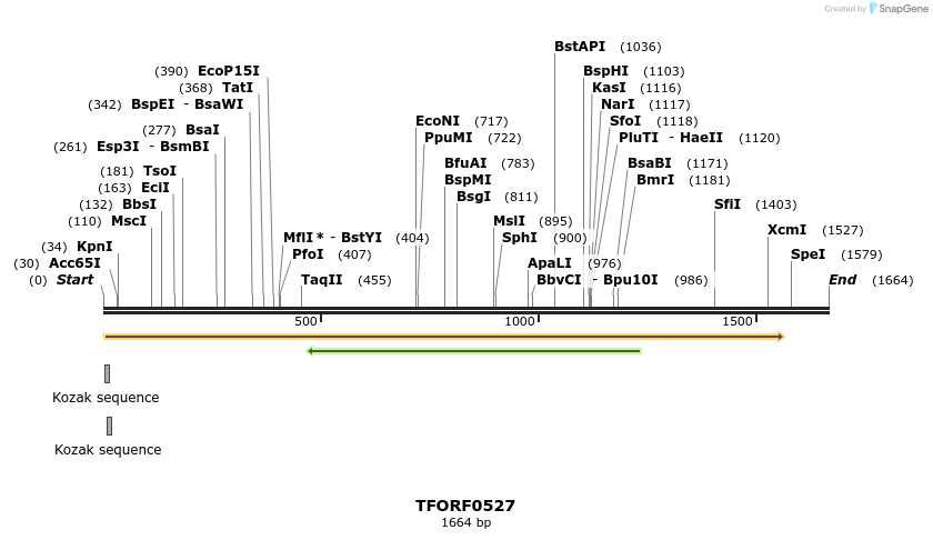 281252_map