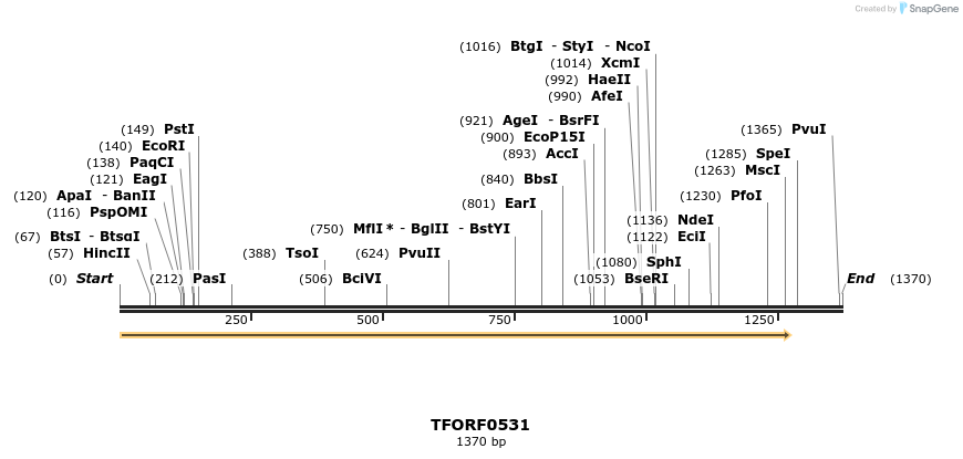 281255_map