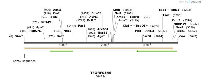 281258_map