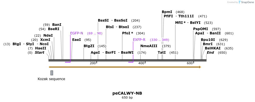 28126_map