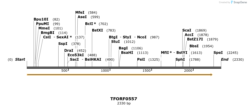 281267_map