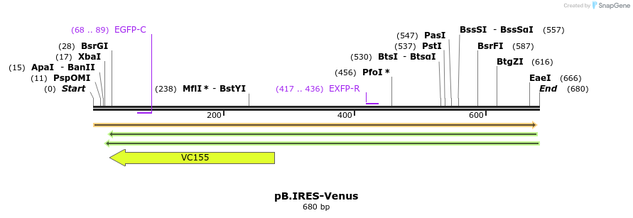 28127_map